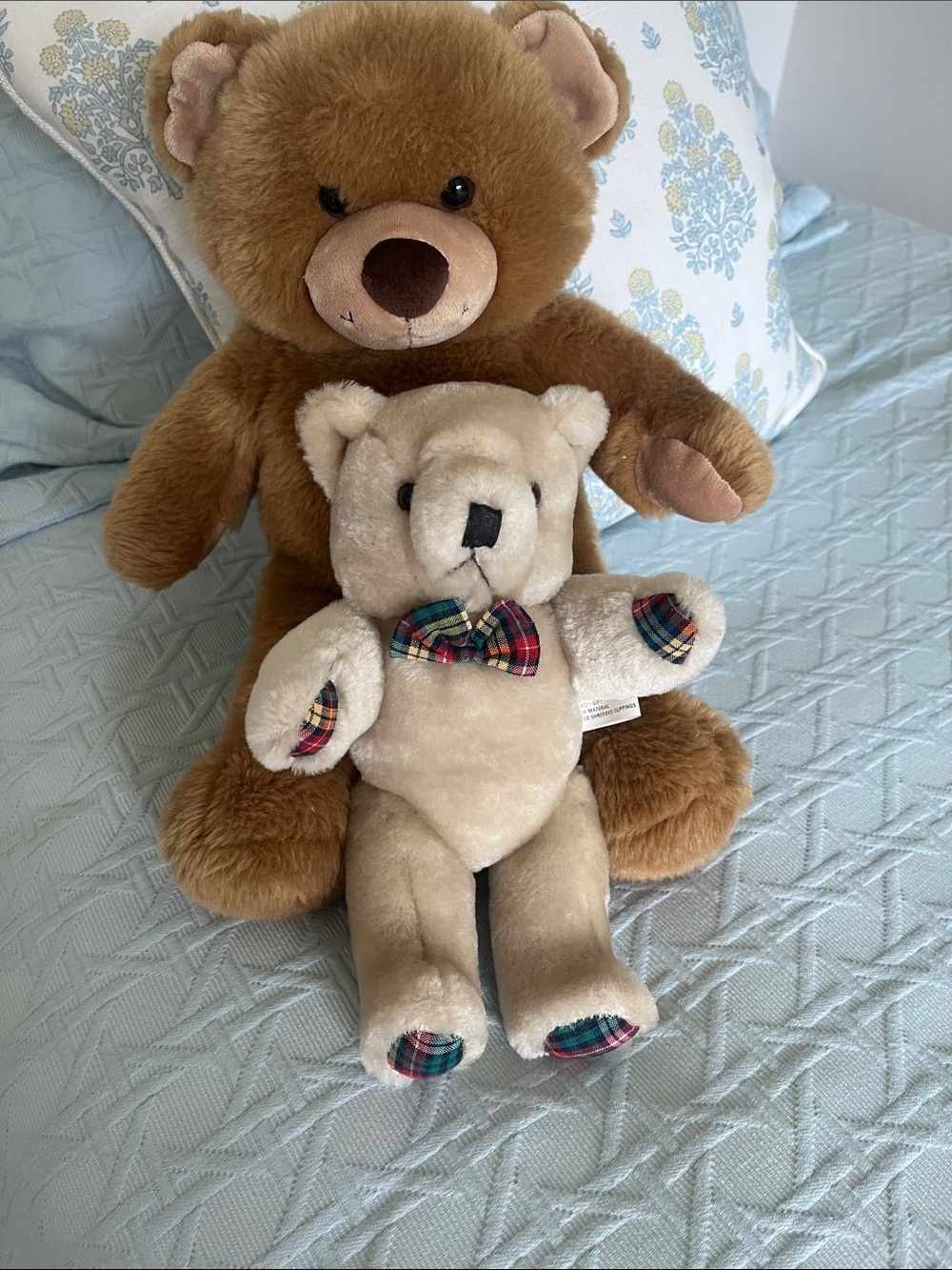 Bears